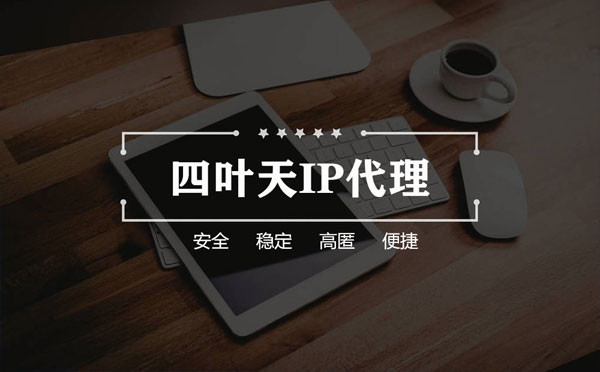 【郴州代理IP】如何快速搭建代理IP？怎么检查代理的效果？